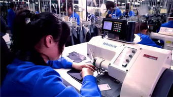 紅領(lǐng)集團張?zhí)N藍 智造成就新商業(yè)傳奇