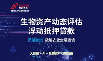 神州信息 金融科技全產(chǎn)業(yè)鏈綜合服務(wù)商