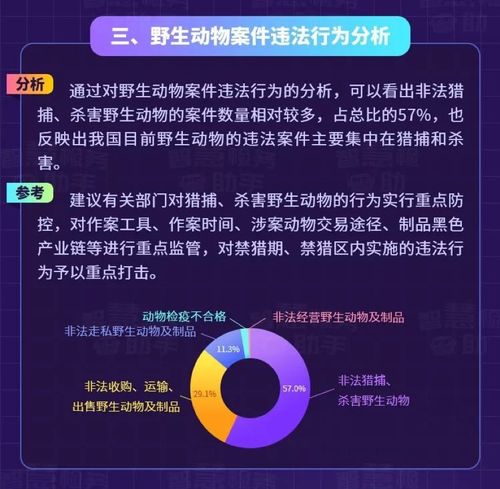 嘉誠信息技術(shù)股份有限公司 信息技術(shù)領(lǐng)域的領(lǐng)跑者