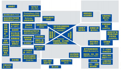 生物技術(shù)與信息技術(shù)融合 數(shù)字化生命科學(xué)的革命性變革